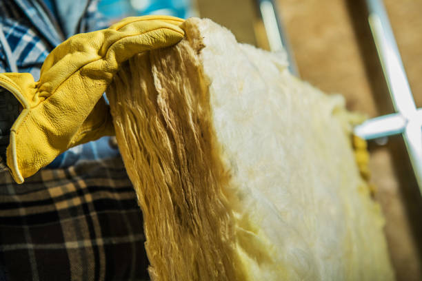 Best Local Insulation Services  in Carefree, AZ